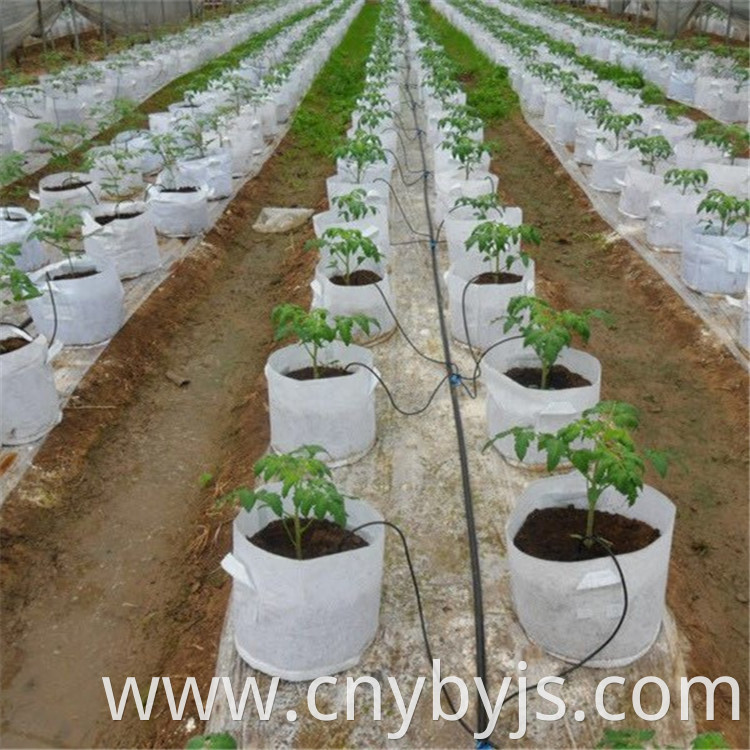 Drip Irrigation 14